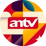 Media 8